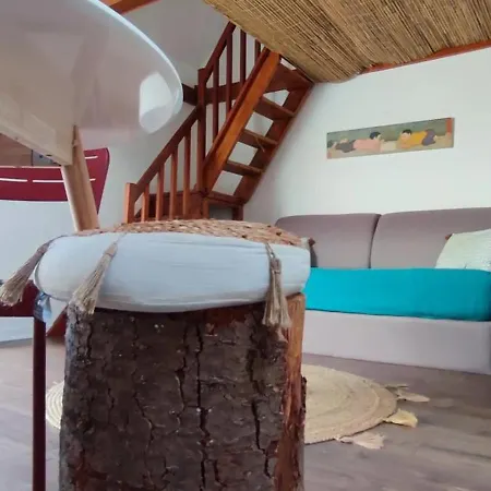 Apartament Maisonnette 2 A 4 Pers- Jardin Privatif Cloture- Calme- Stationnement Gratuit- Pau Ouest Billere